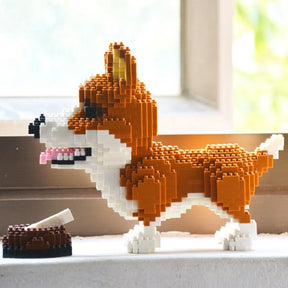 Waliser corgi | Morgen in huis