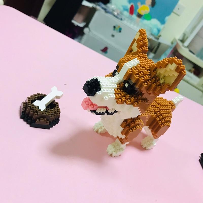 Waliser corgi | Morgen in huis