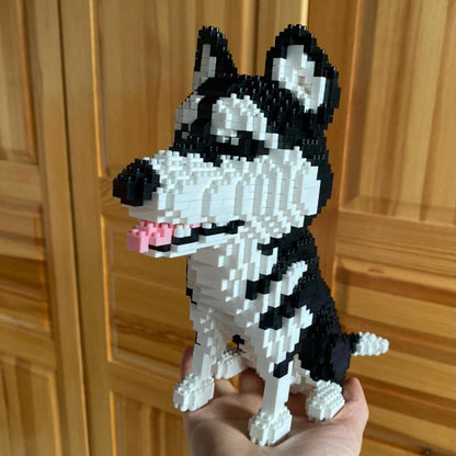 Husky |  Morgen zu Hause