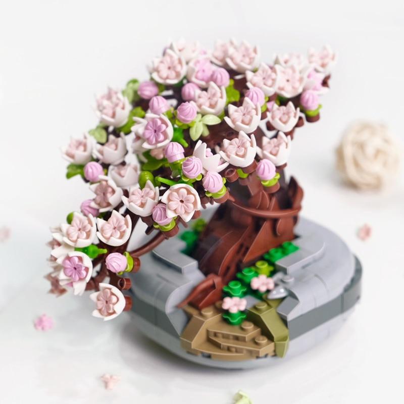 Sakura-Baum - Morgen zu Hause